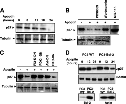 FIG. 7.