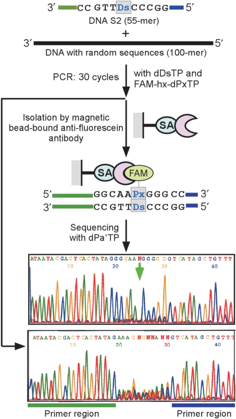 Figure 6.