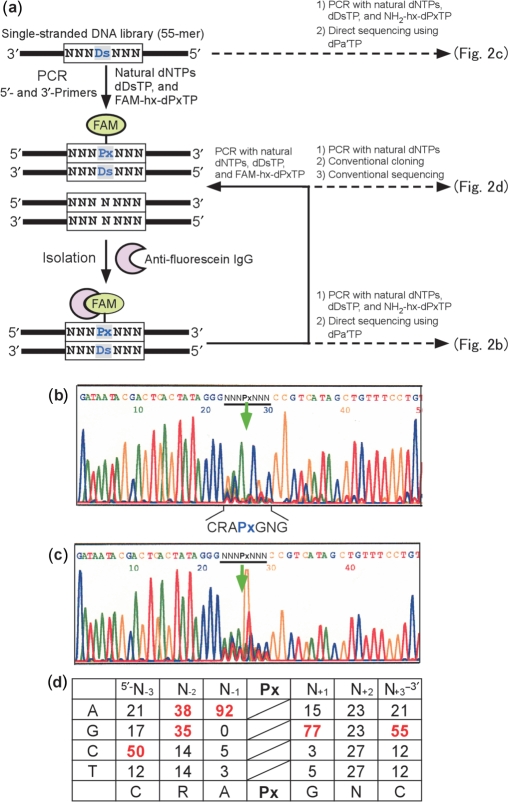 Figure 2.