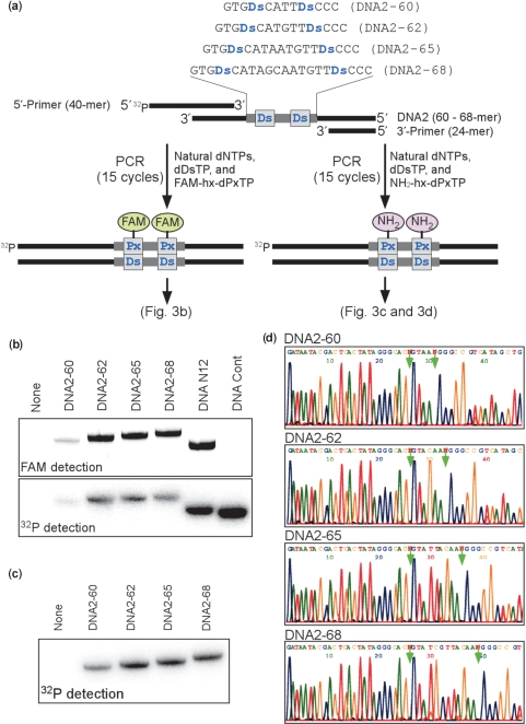 Figure 4.