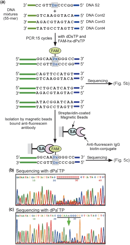 Figure 5.