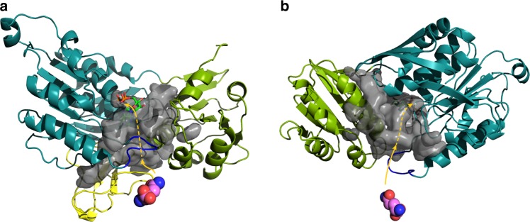 Fig. 8