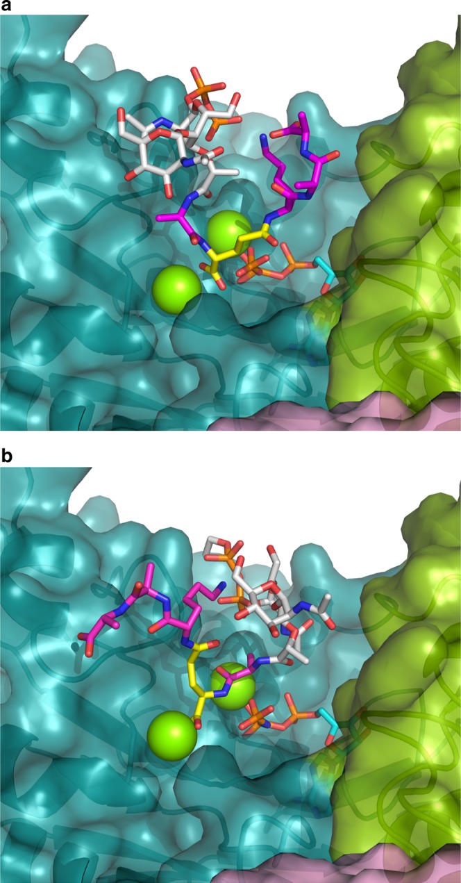 Fig. 6