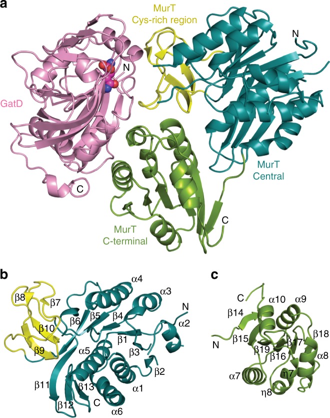 Fig. 3