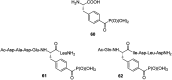Fig. 20