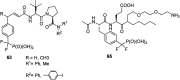 Fig. 21