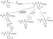 Fig. 12