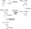 Fig. 26