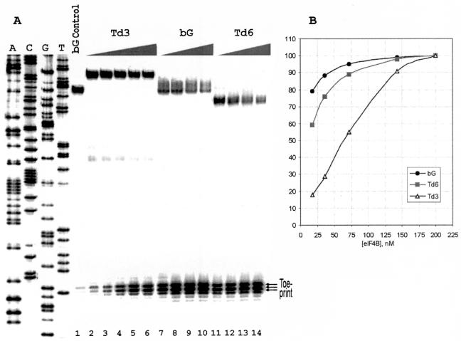 FIG. 5.