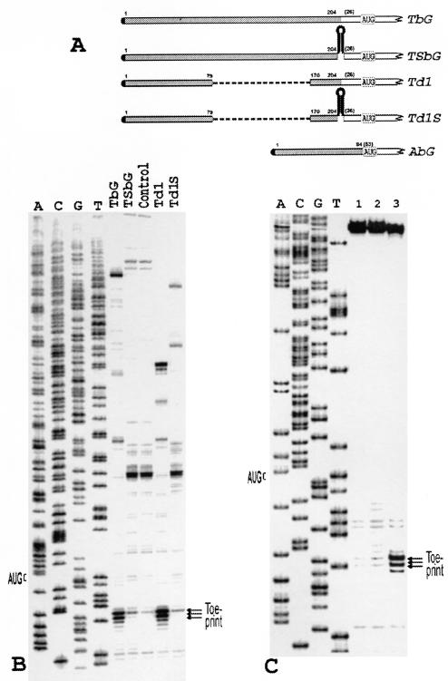 FIG. 7.