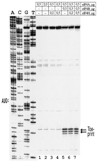 FIG. 6.