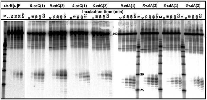 Figure
2.