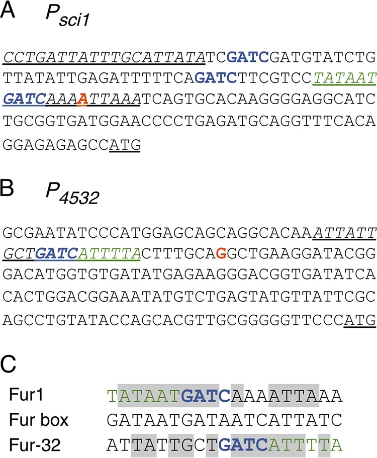 FIG 2