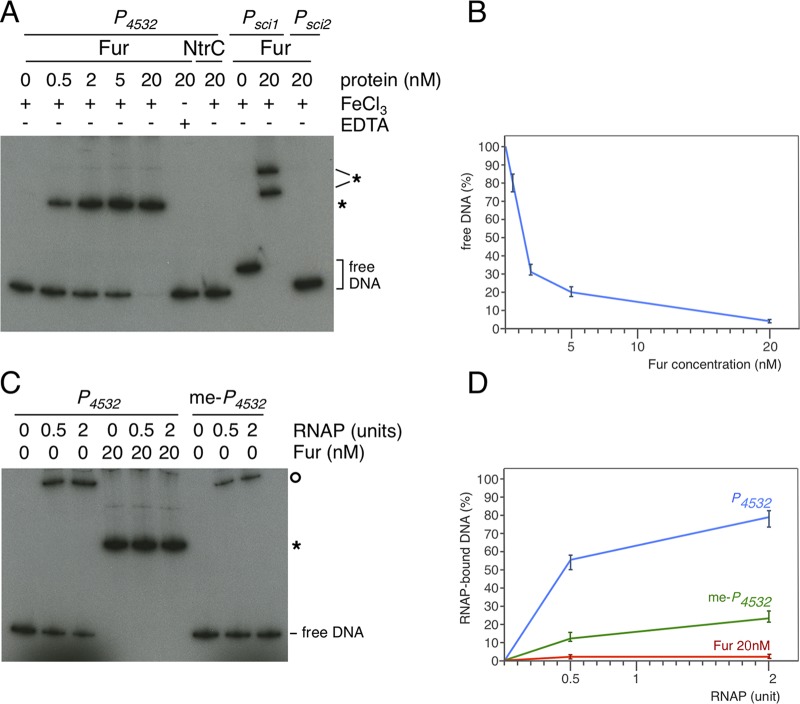 FIG 4