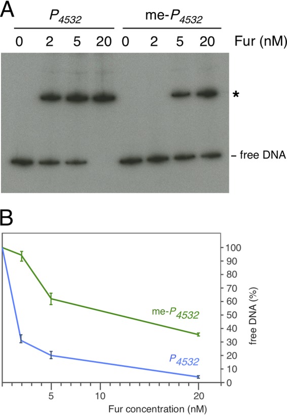 FIG 6