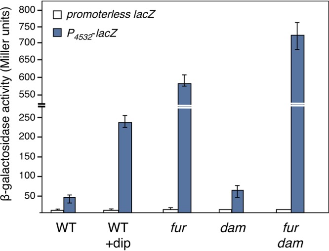 FIG 3