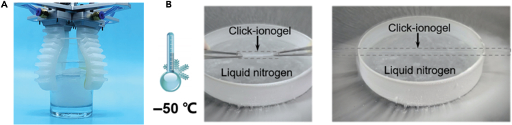 Figure 4