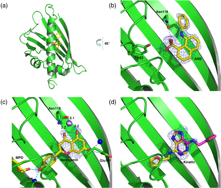 Fig. 4