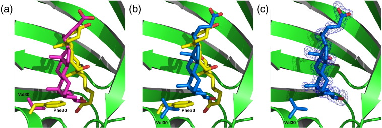 Fig. 3