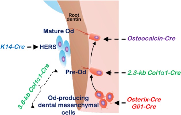 Figure 3.