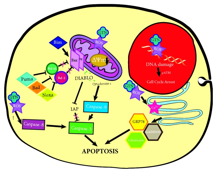 Figure 7