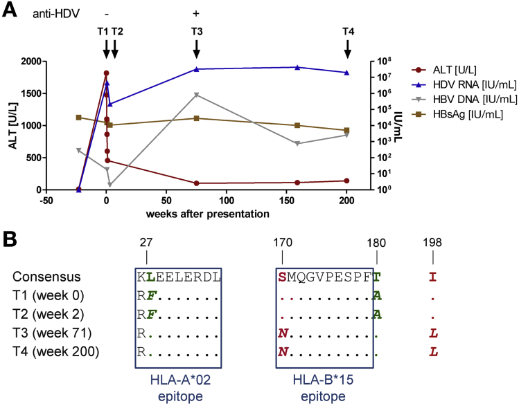 Figure 5