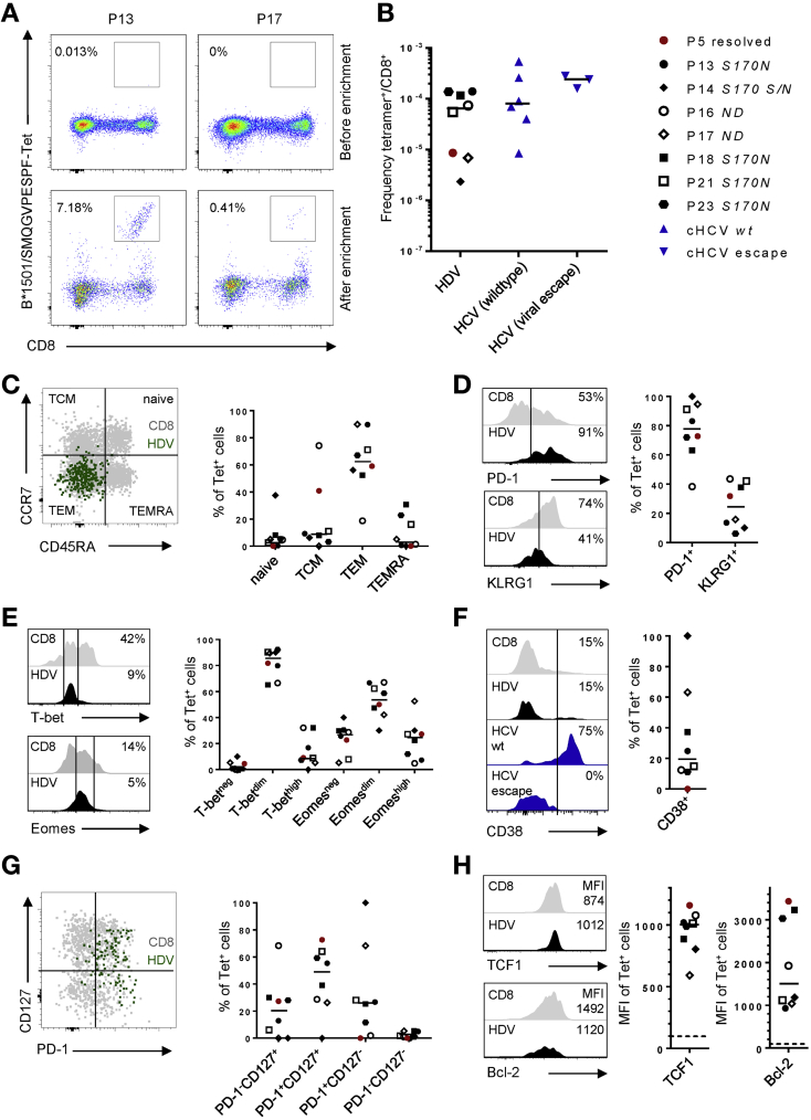 Figure 6