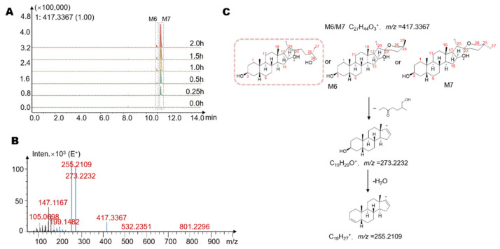 Figure 5