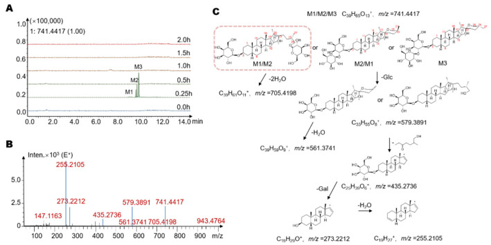 Figure 3