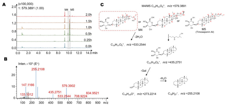 Figure 4