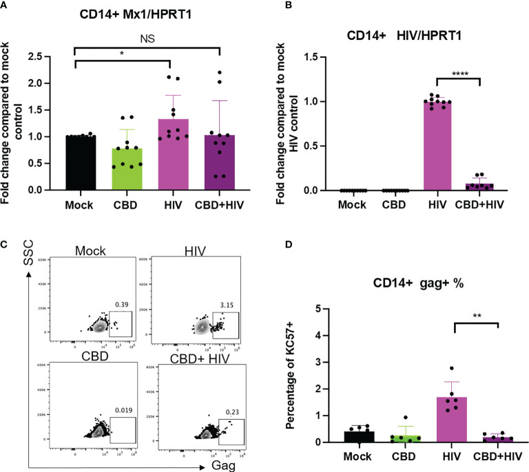 Figure 6