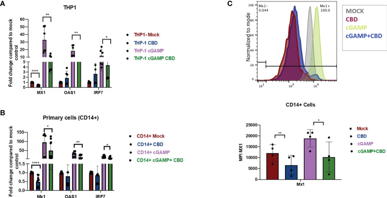 Figure 2