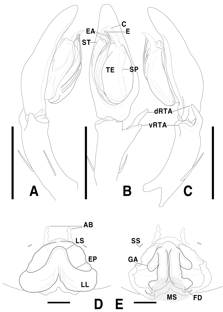 Figure 8.