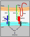 FIGURE 12