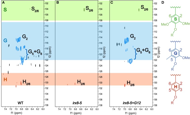 Figure 5