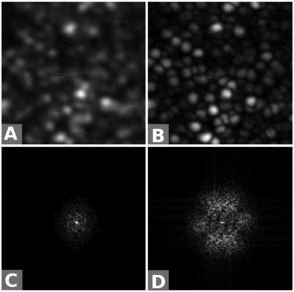 FIG. 10