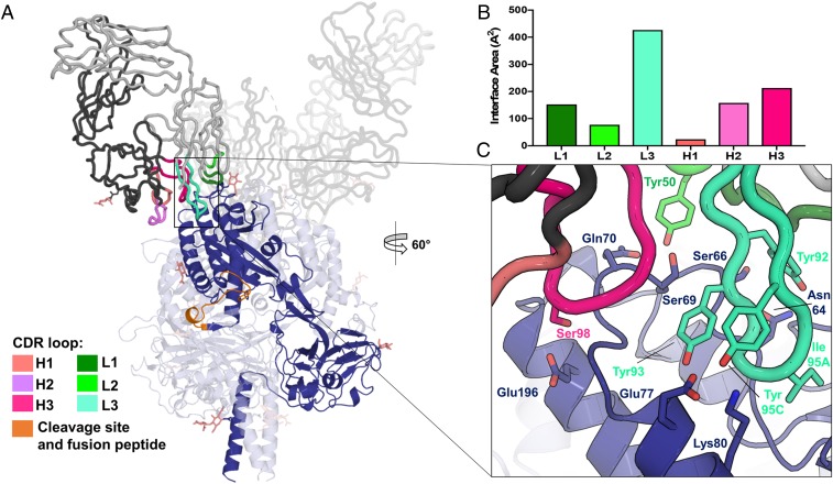 Fig. 2.