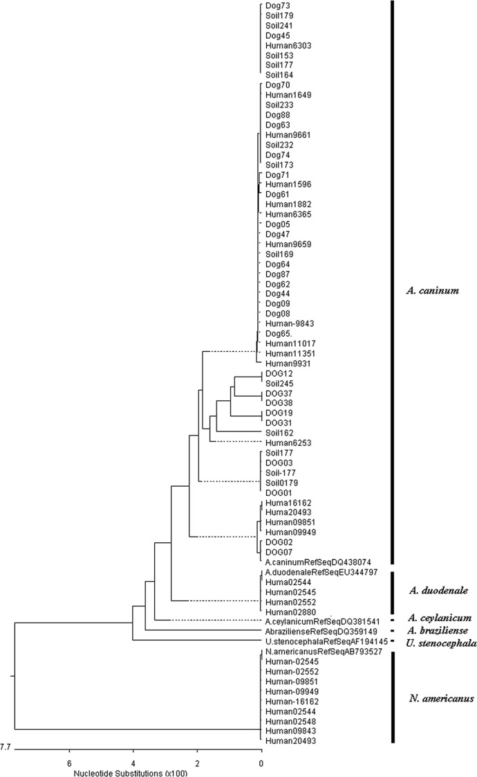 Fig 1