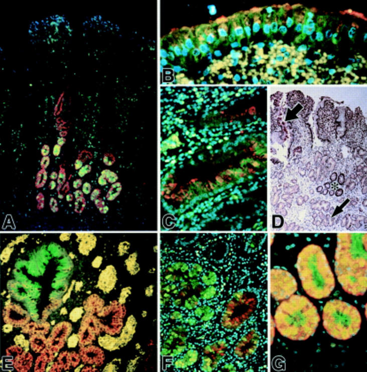 Figure 2  