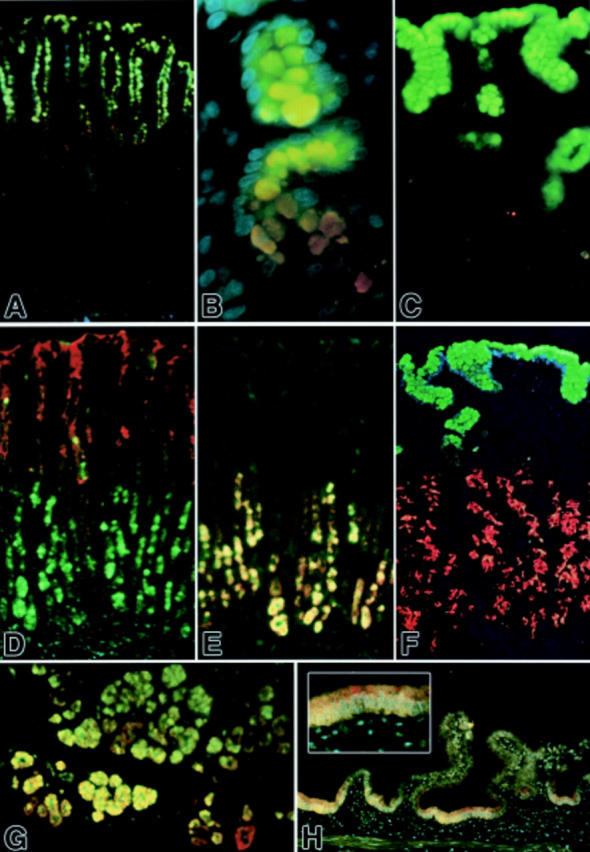 Figure 3  