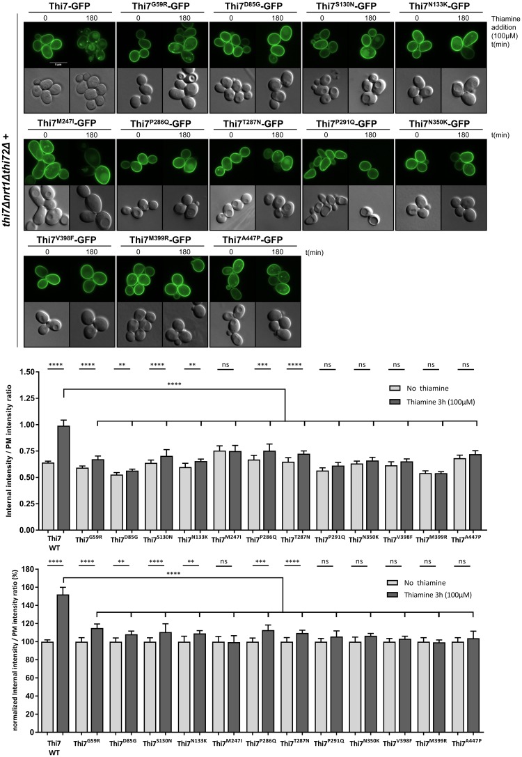 Fig 5