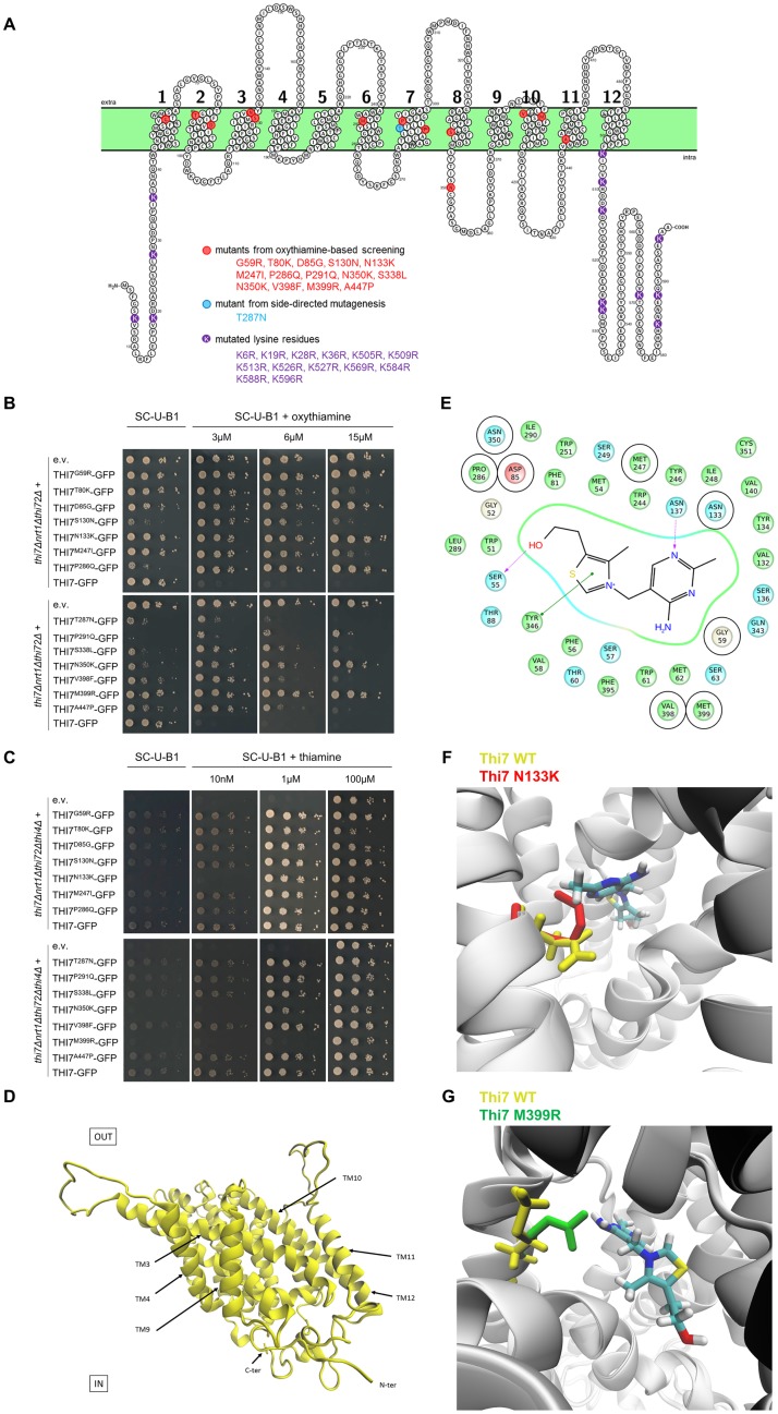 Fig 4