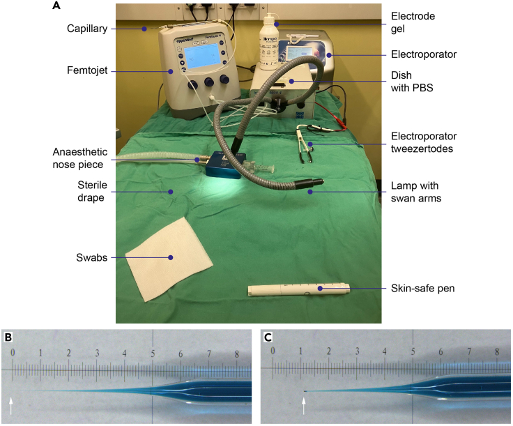 Figure 2