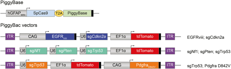 Figure 1