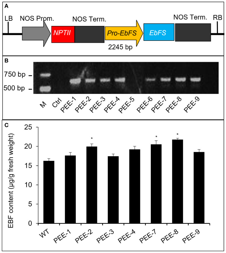 Figure 2
