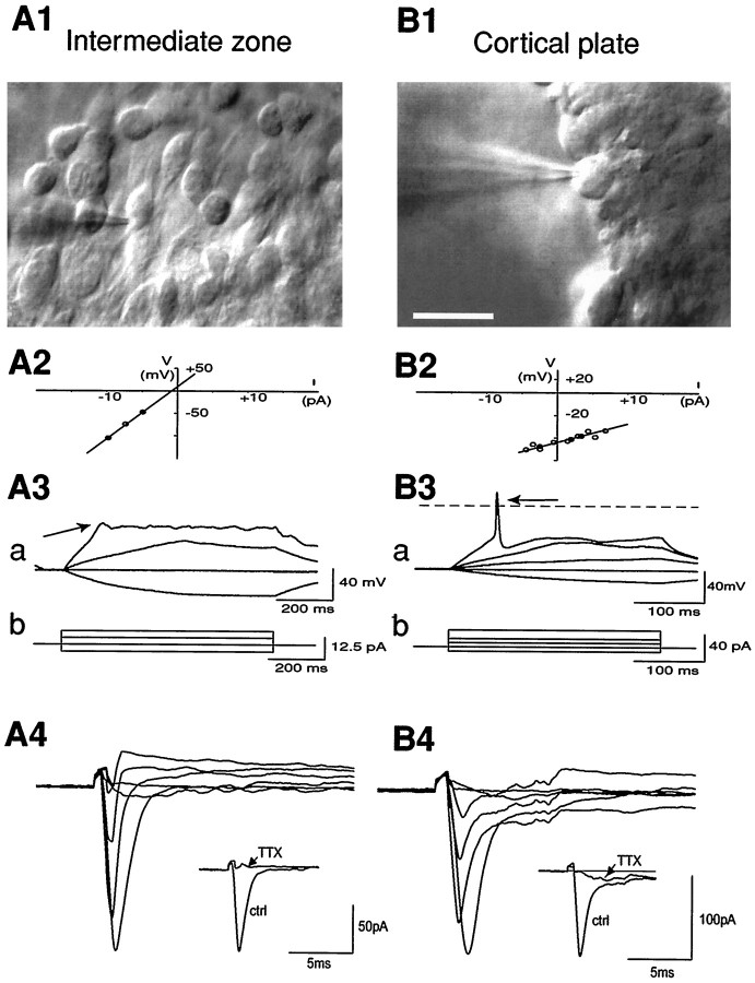 Fig. 8.