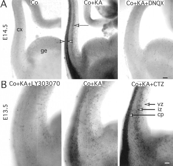 Fig. 5.