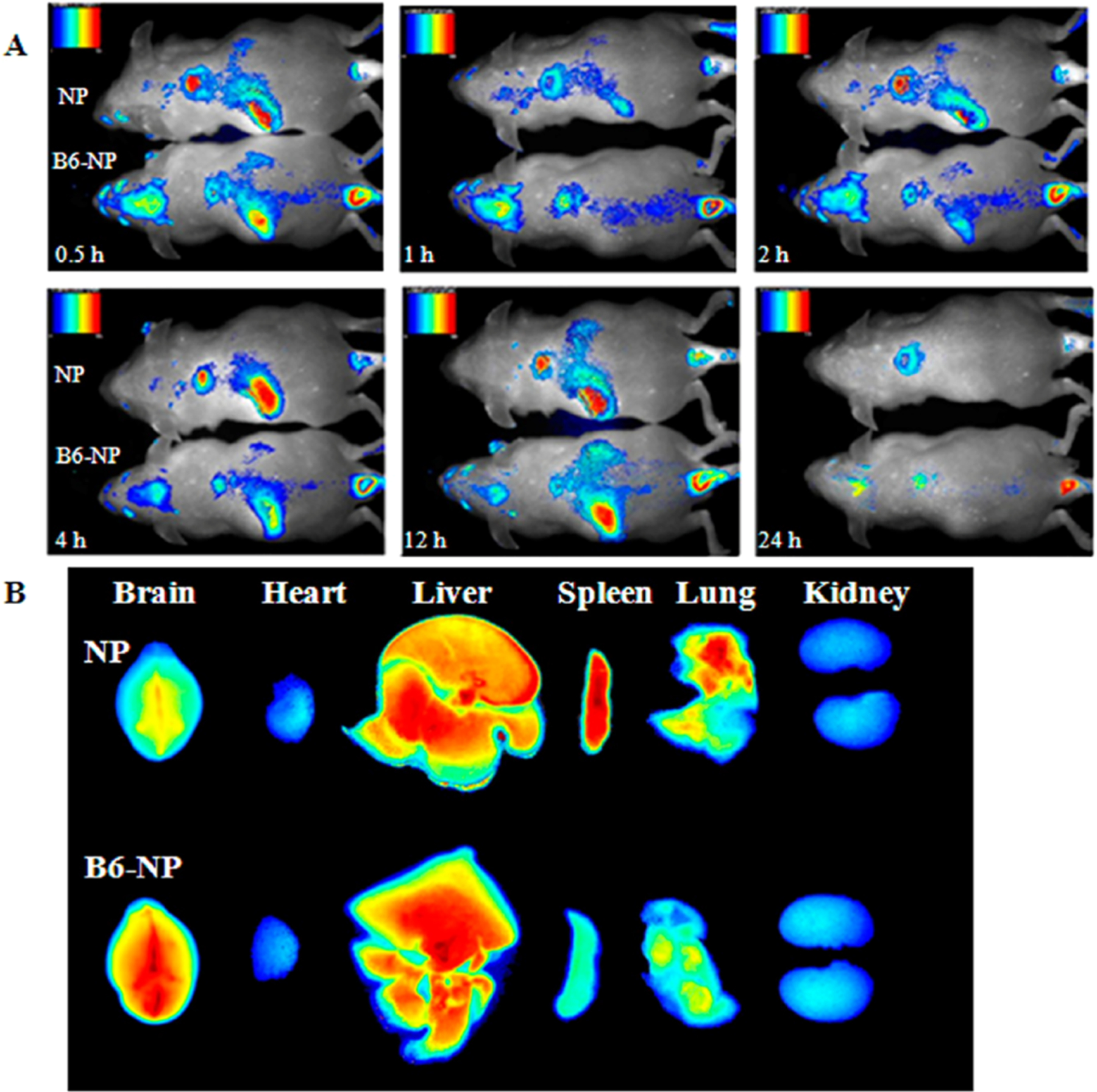 Figure 3.