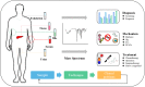 Graphical Abstract