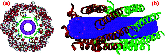 Fig. 10